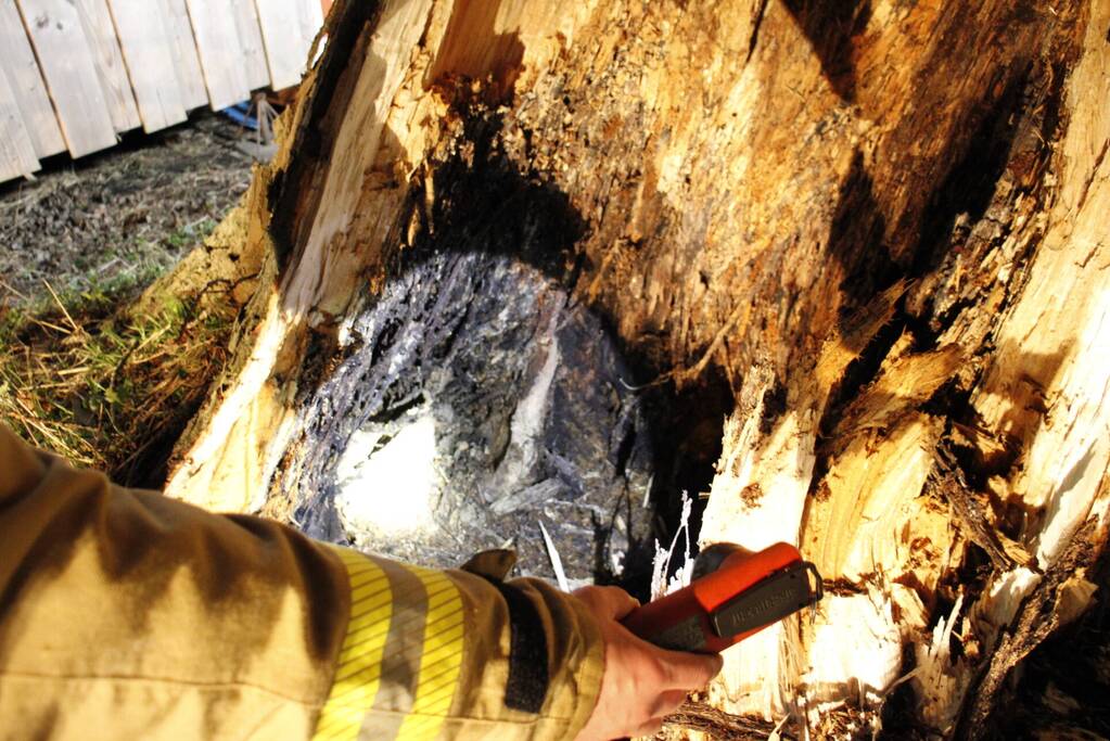 Brandweer zaagt grote boom in stukken