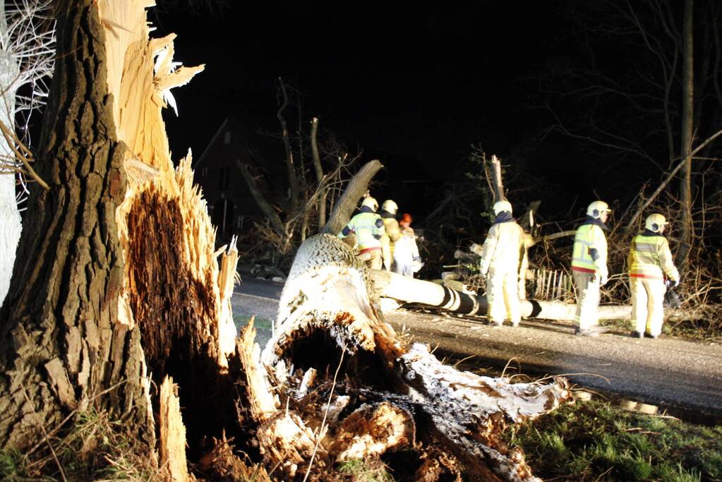 Brandweer zaagt grote boom in stukken