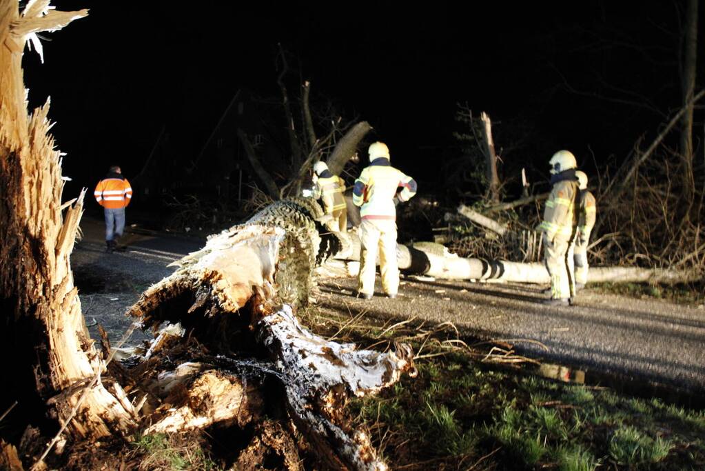 Brandweer zaagt grote boom in stukken