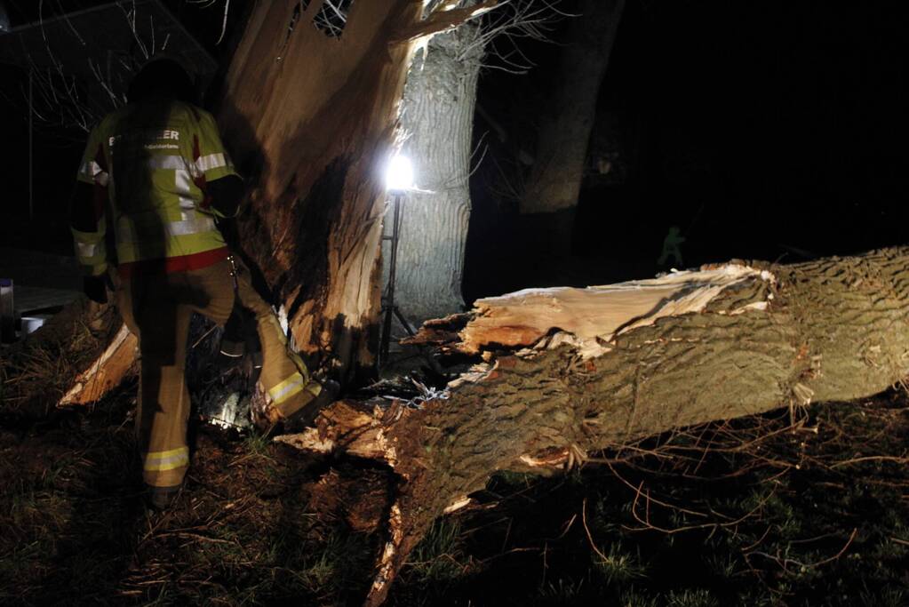 Brandweer zaagt grote boom in stukken