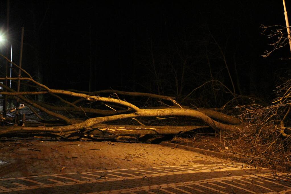 Boom blokkeert tankstation