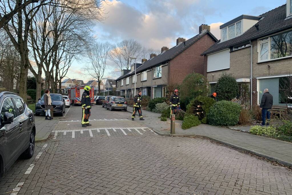Brandweer zaagt boom om