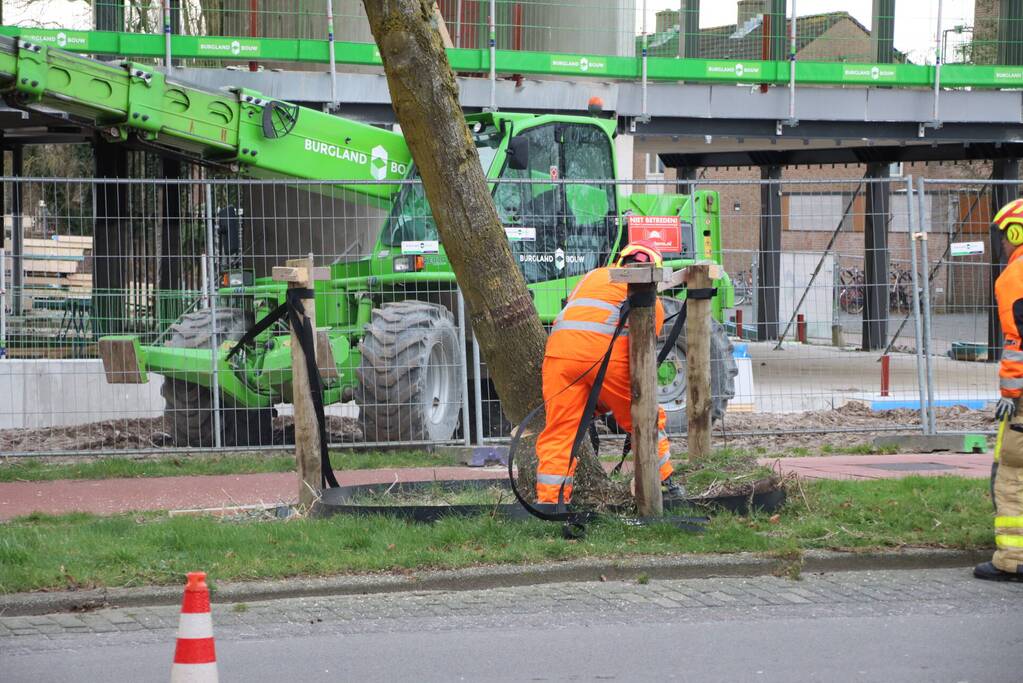 Boom na storm Eunice omgezaagd door brandweer