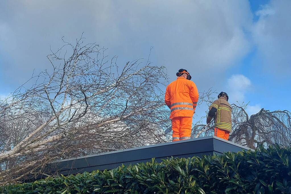 Omgewaaide boom verspert doorgang