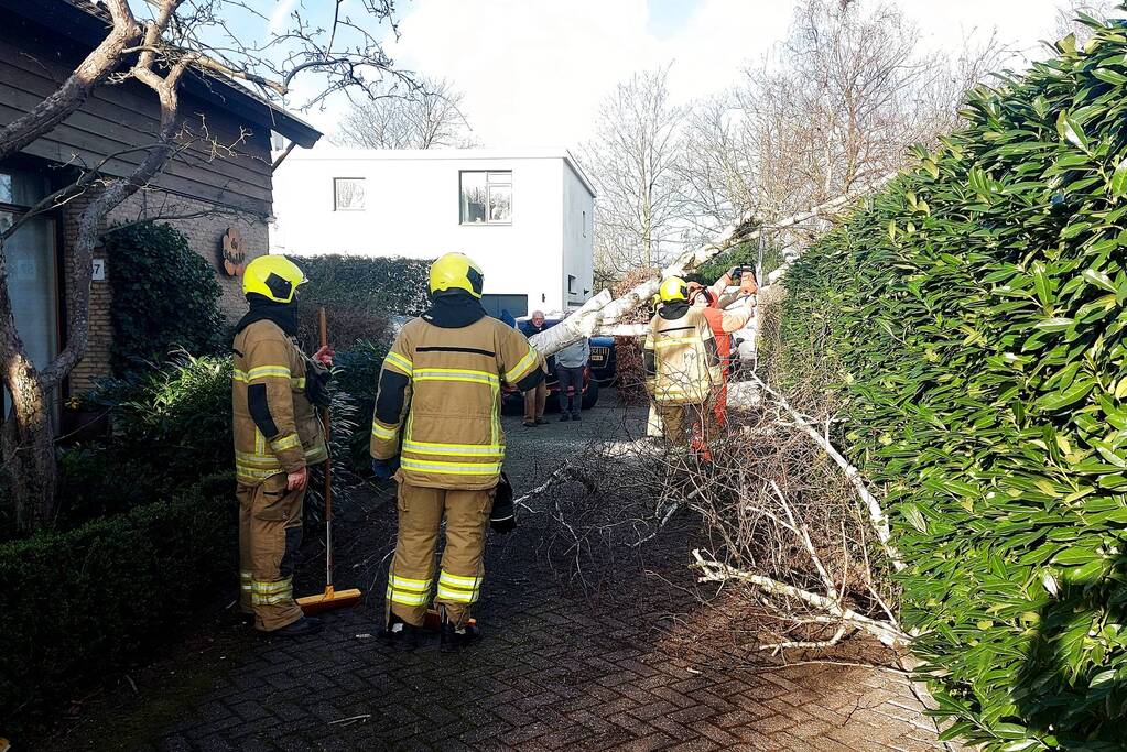 Omgewaaide boom verspert doorgang