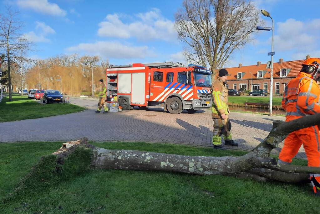 Weg verspert door een omgewaaide boom