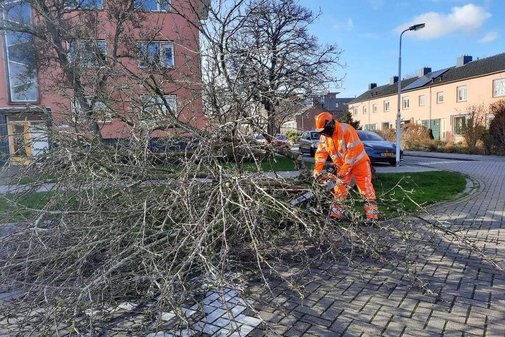 Weg verspert door een omgewaaide boom