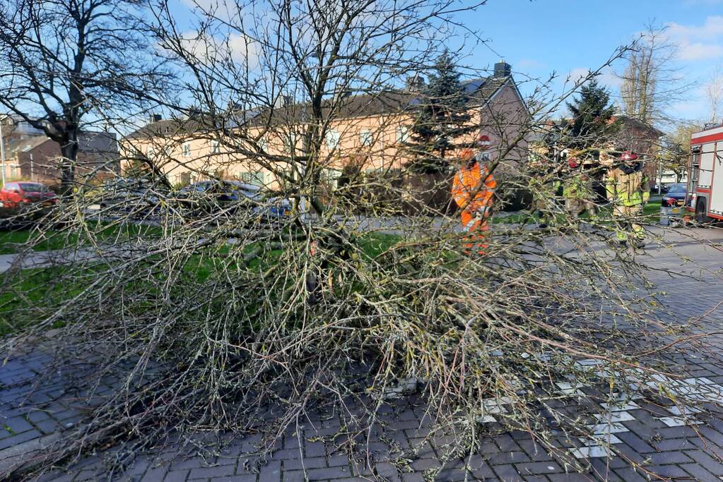 Weg verspert door een omgewaaide boom