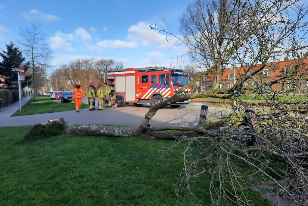 Weg verspert door een omgewaaide boom