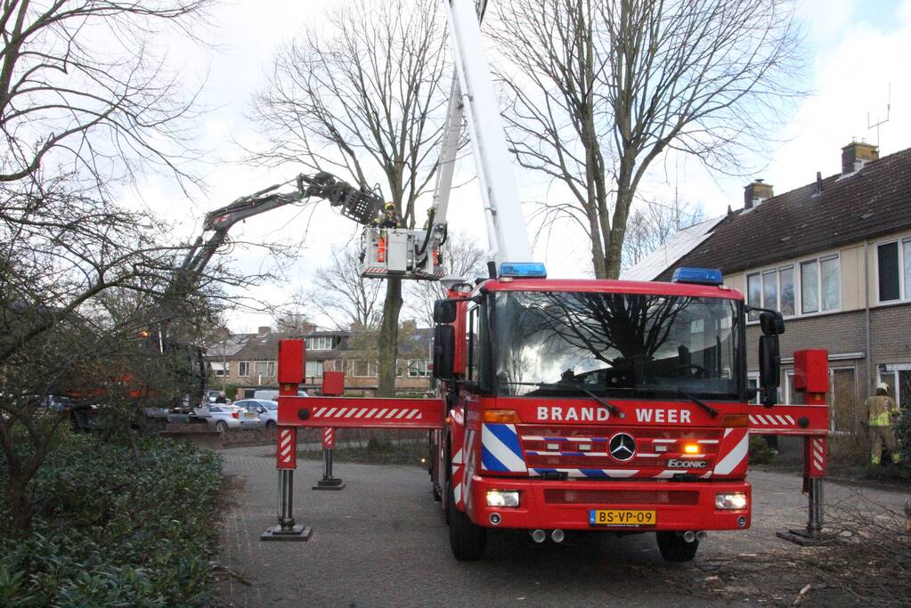 Brandweer en gemeente stellen door storm beschadigde bomen veilig