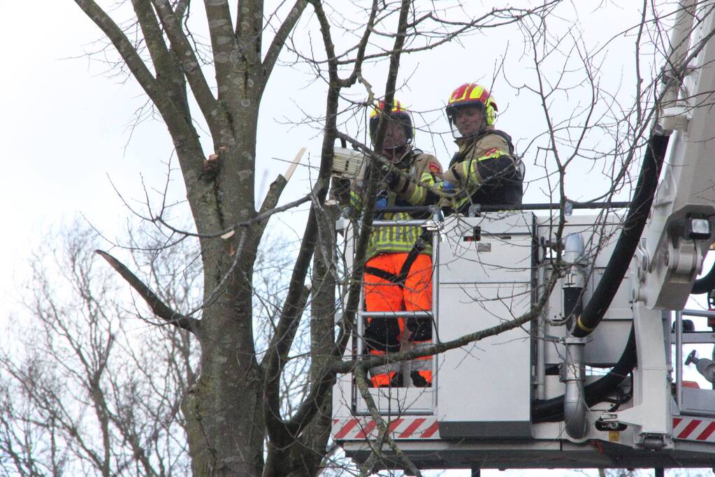 Brandweer en gemeente stellen door storm beschadigde bomen veilig