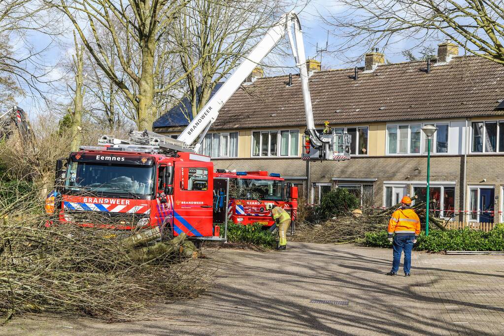 Brandweer en gemeente stellen door storm beschadigde bomen veilig