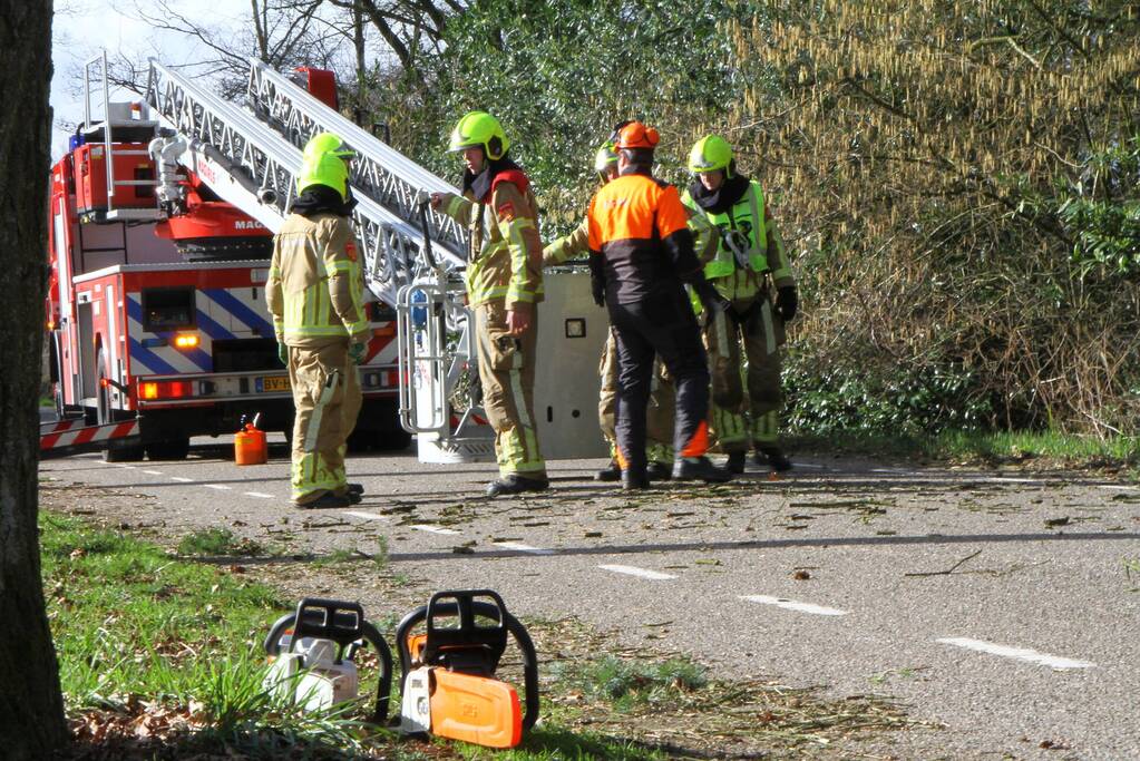 Boom dreigt op weg te vallen