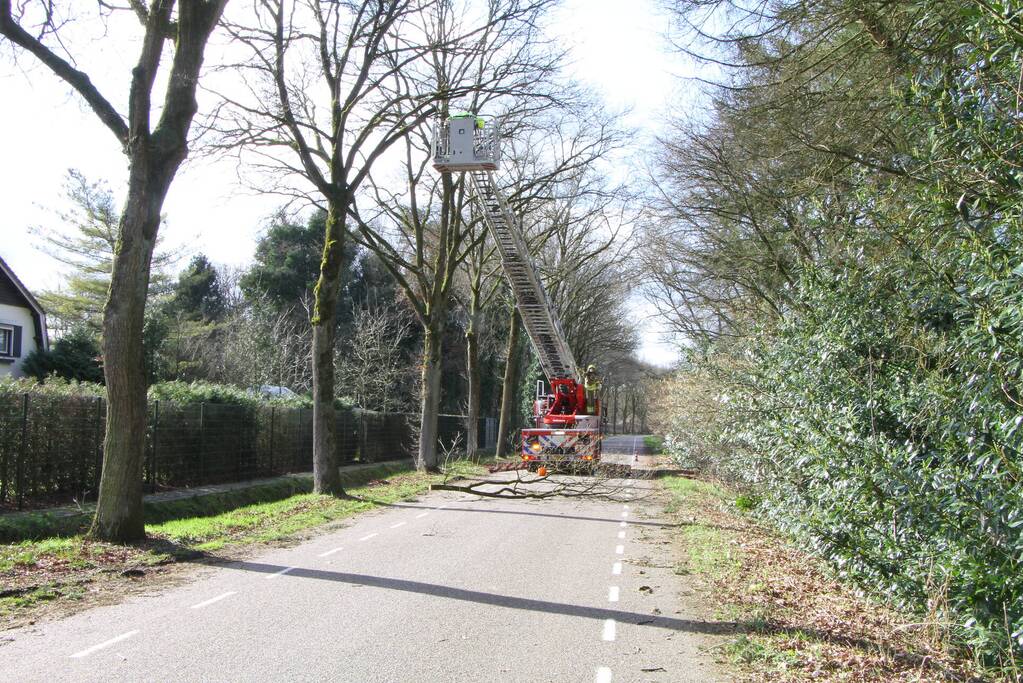 Boom dreigt op weg te vallen