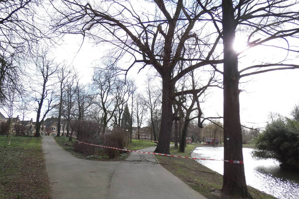 Brandweer zet gebied af vanwege gevaarlijk hangende tak