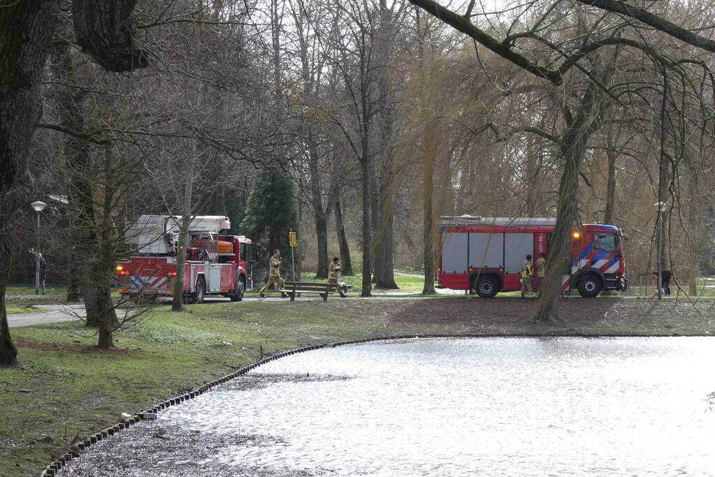 Brandweer zet gebied af vanwege gevaarlijk hangende tak