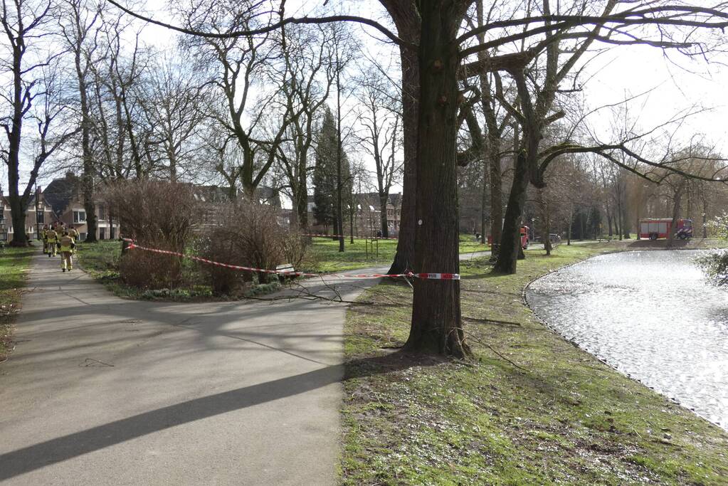 Brandweer zet gebied af vanwege gevaarlijk hangende tak