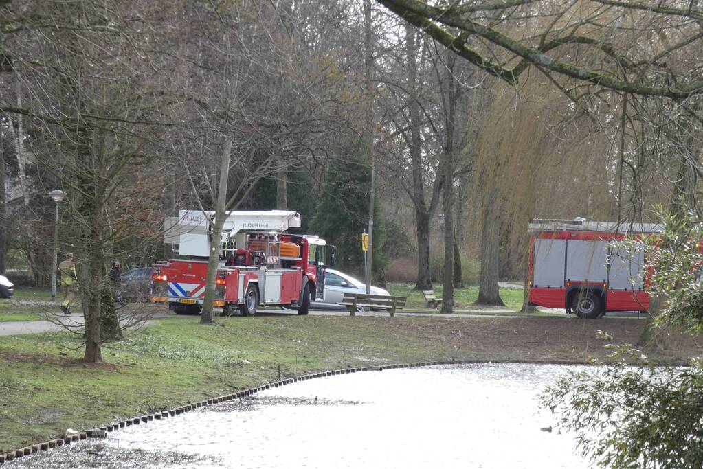 Brandweer zet gebied af vanwege gevaarlijk hangende tak