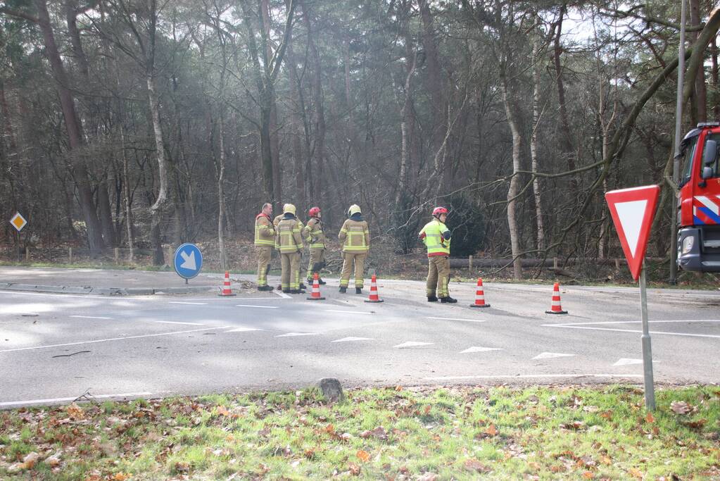Brandweer zaagt afgebroken tak uit boom