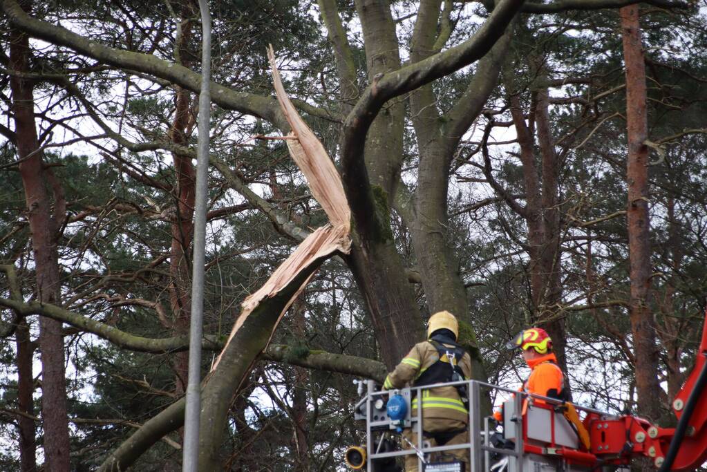 Brandweer zaagt afgebroken tak uit boom