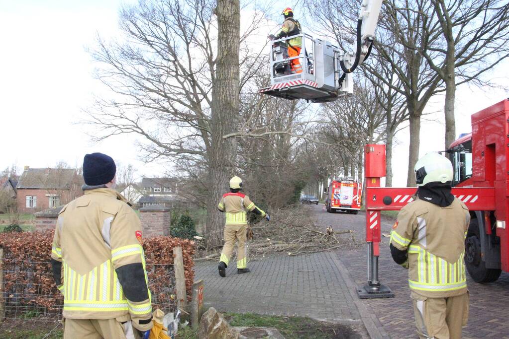 Brandweer zaagt gevaarlijk hangende tak uit boom