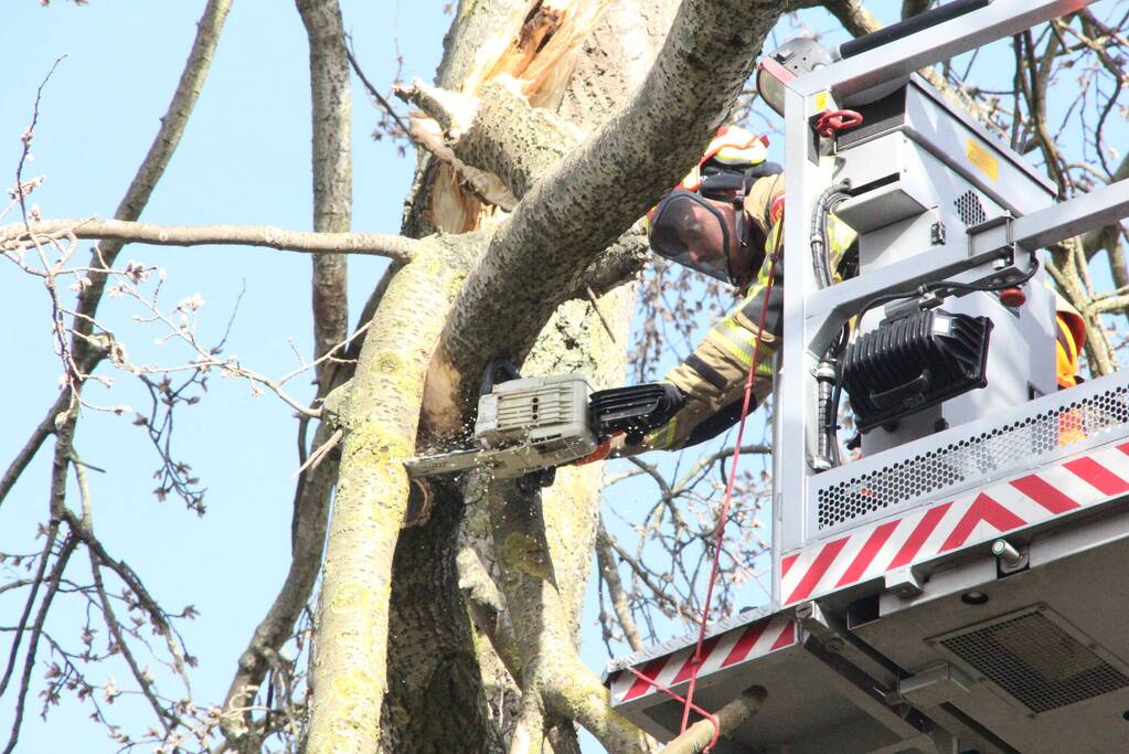Brandweer zaagt gevaarlijk hangende tak uit boom