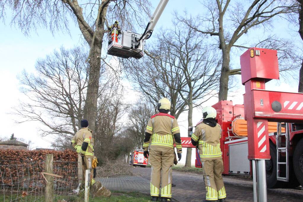 Brandweer zaagt gevaarlijk hangende tak uit boom