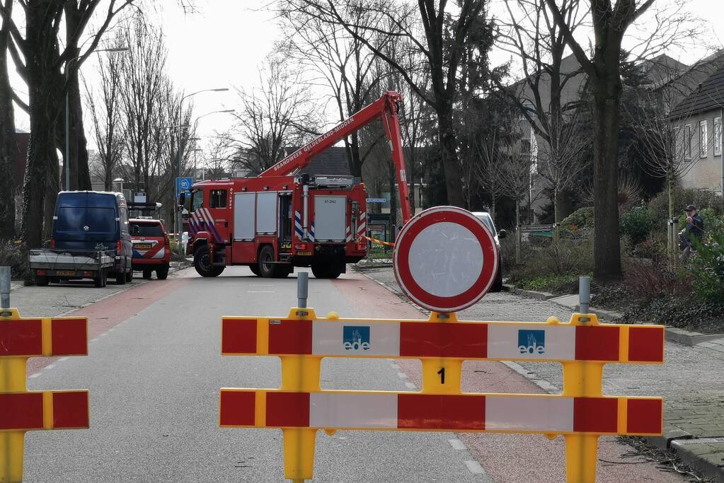 Boom dreigt op woning te vallen