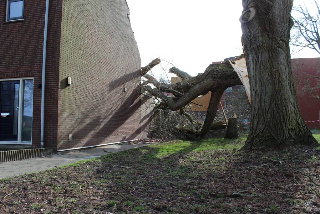 Woning zwaar beschadigd door omgewaaide boom
