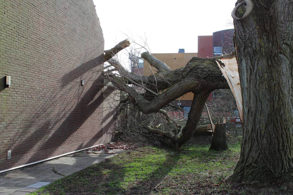 Woning zwaar beschadigd door omgewaaide boom