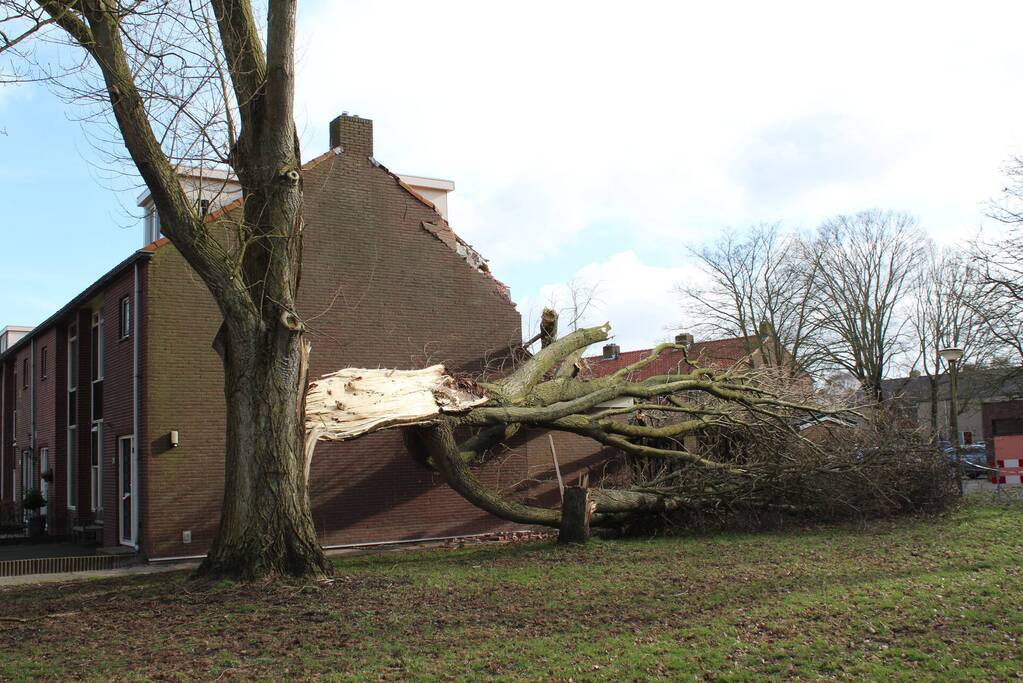 Woning zwaar beschadigd door omgewaaide boom