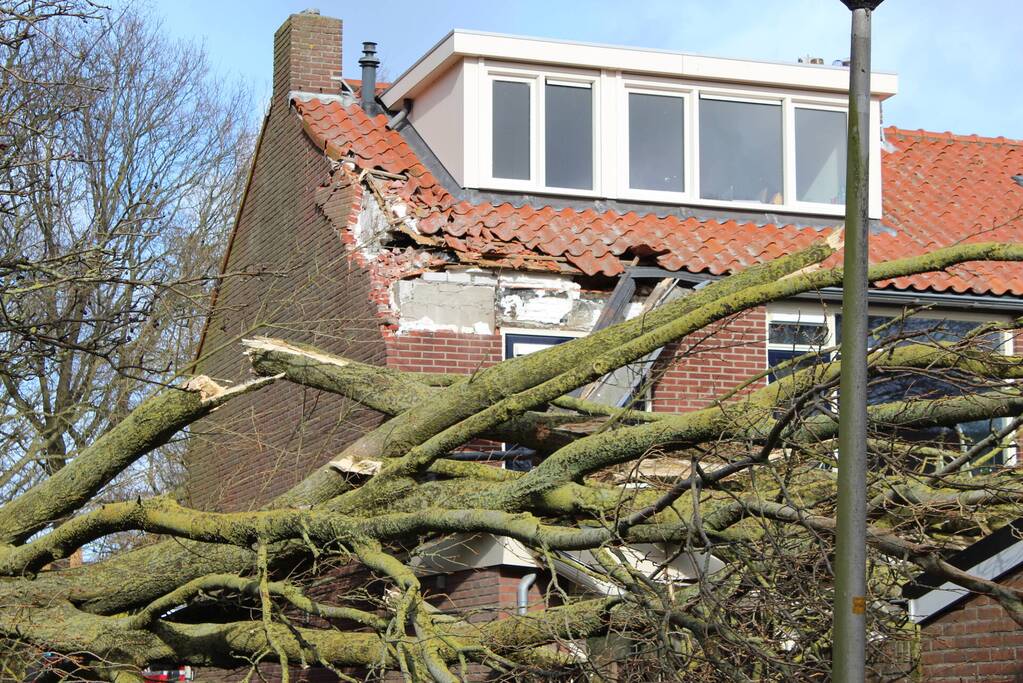 Woning zwaar beschadigd door omgewaaide boom
