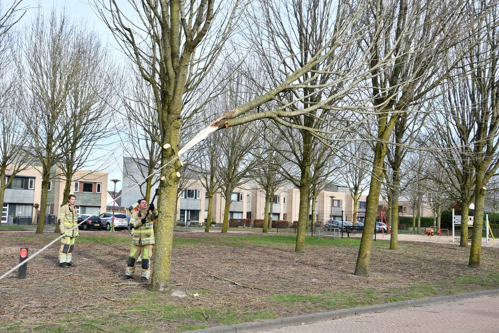 Gevaarlijk hangend deel van boom verwijderd door brandweer