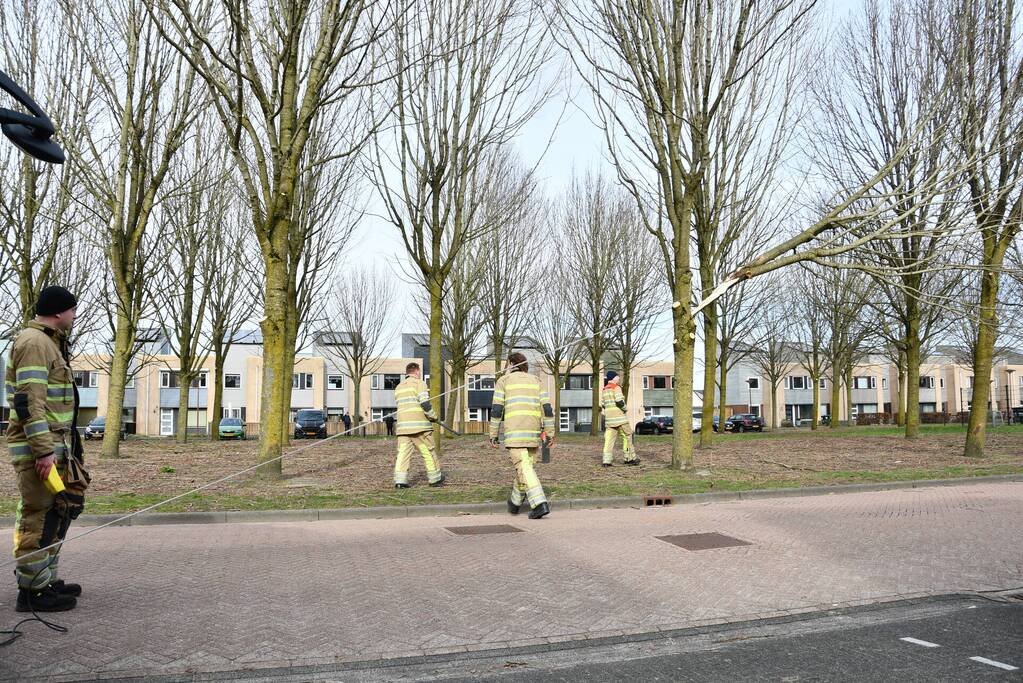 Gevaarlijk hangend deel van boom verwijderd door brandweer