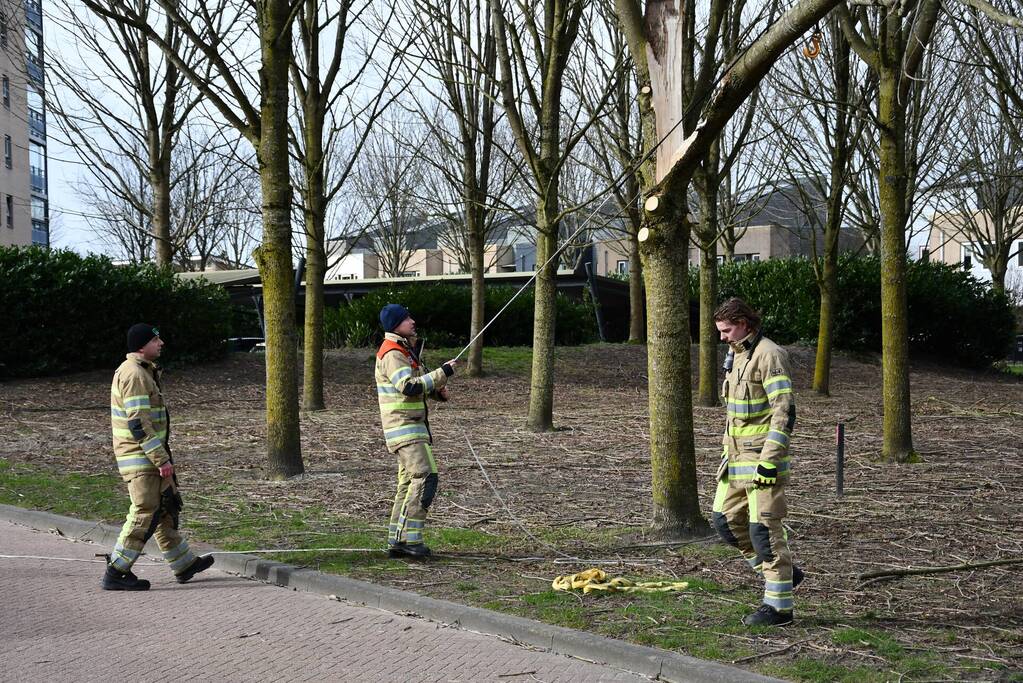 Gevaarlijk hangend deel van boom verwijderd door brandweer