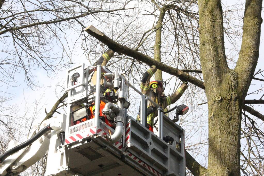 Brandweer verwijdert gevaarlijke hangende takken van bomen