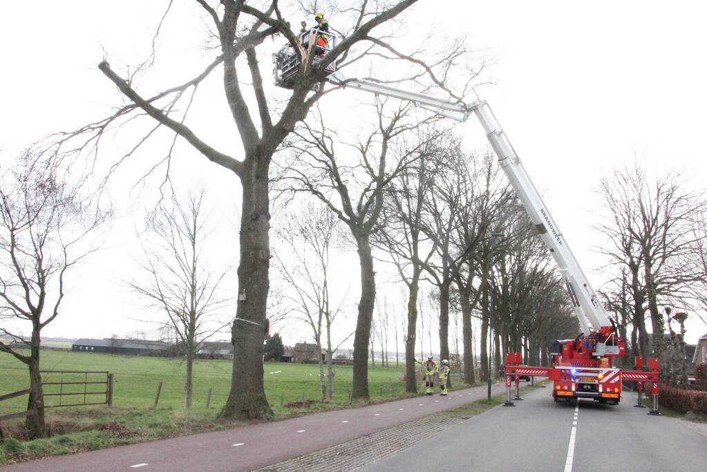 Brandweer verwijdert gevaarlijke hangende takken van bomen
