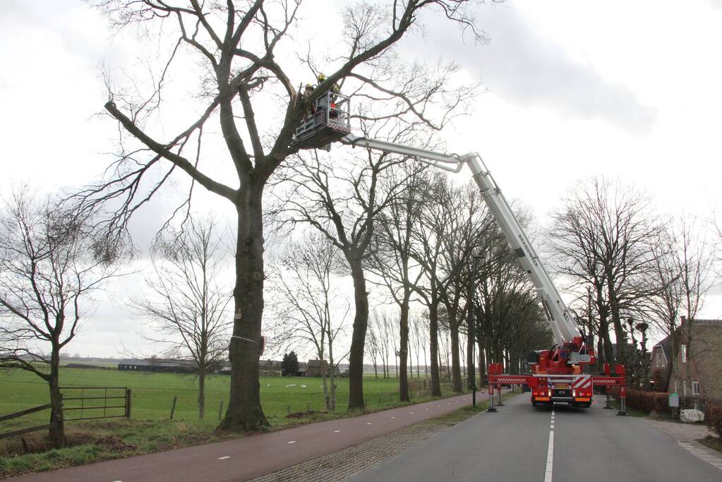 Brandweer verwijdert gevaarlijke hangende takken van bomen