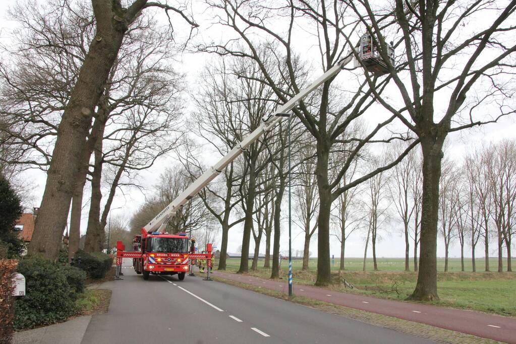 Brandweer verwijdert gevaarlijke hangende takken van bomen