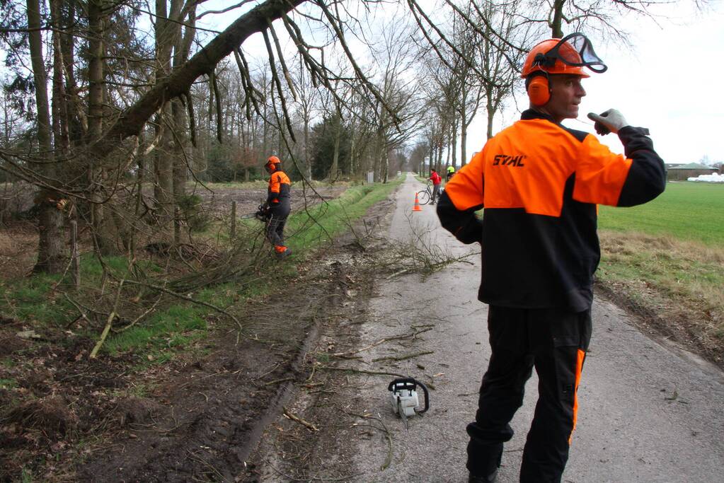 Brandweer duwt gevaarlijke boom omver