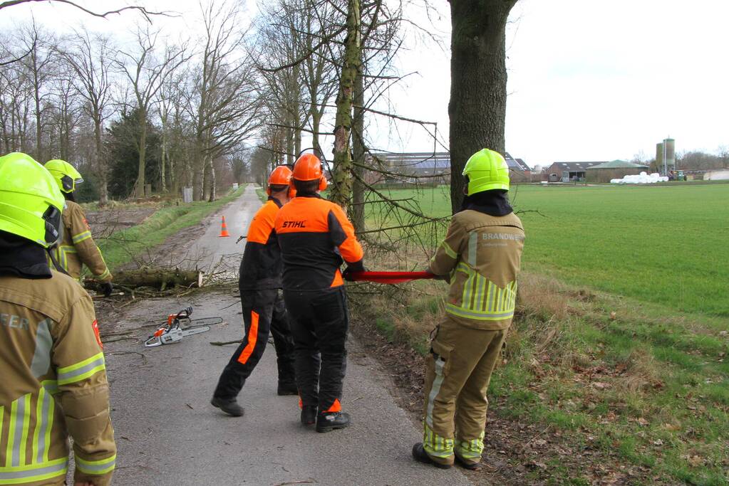 Brandweer duwt gevaarlijke boom omver