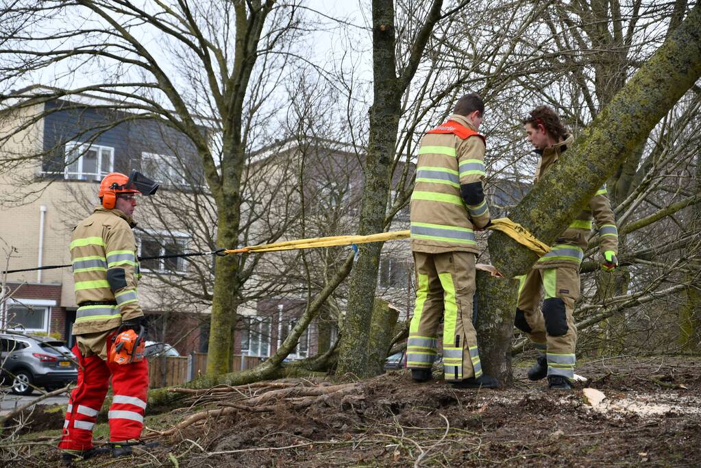 Brandweer ingezet voor twee omgevallen bomen