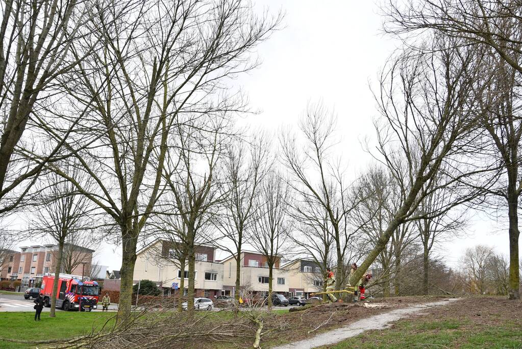 Brandweer ingezet voor twee omgevallen bomen