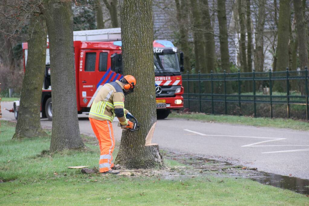 Boom veroorzaakt waterlekkage
