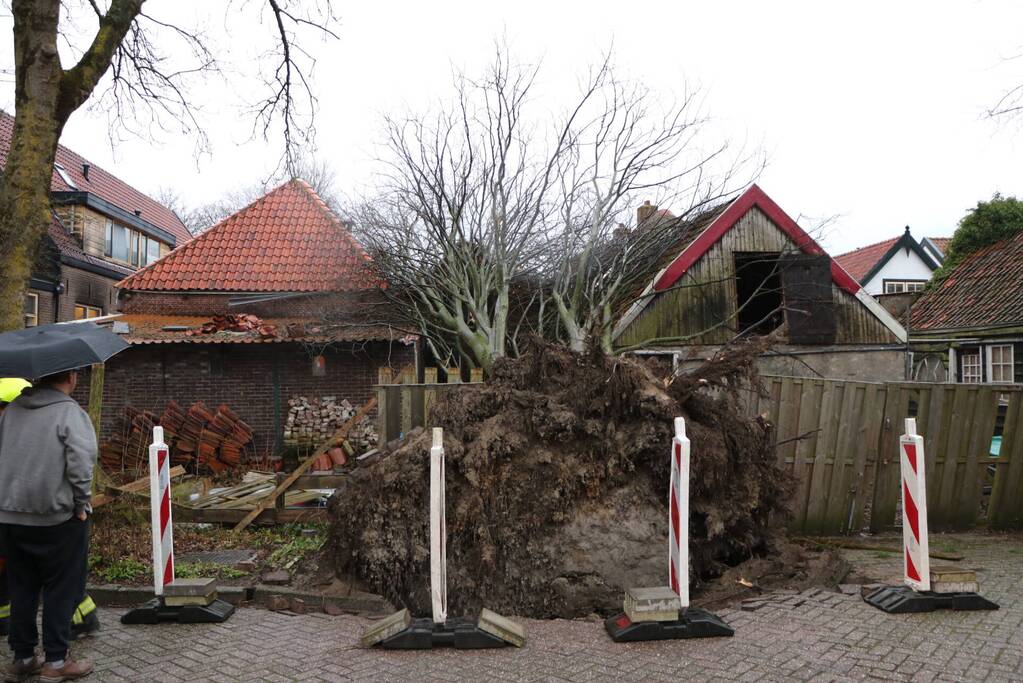Grote boom valt op woningen en schuur