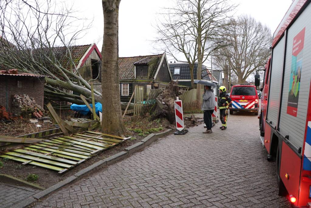Grote boom valt op woningen en schuur