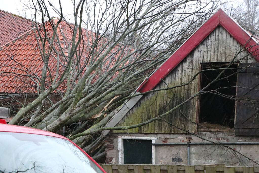 Grote boom valt op woningen en schuur