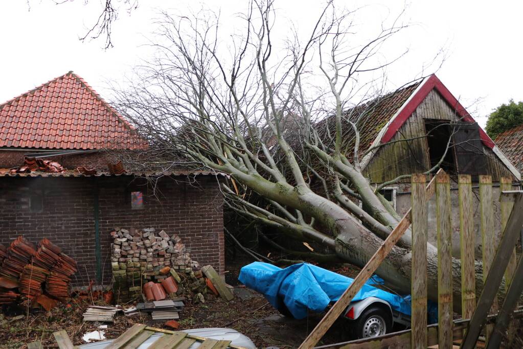 Grote boom valt op woningen en schuur