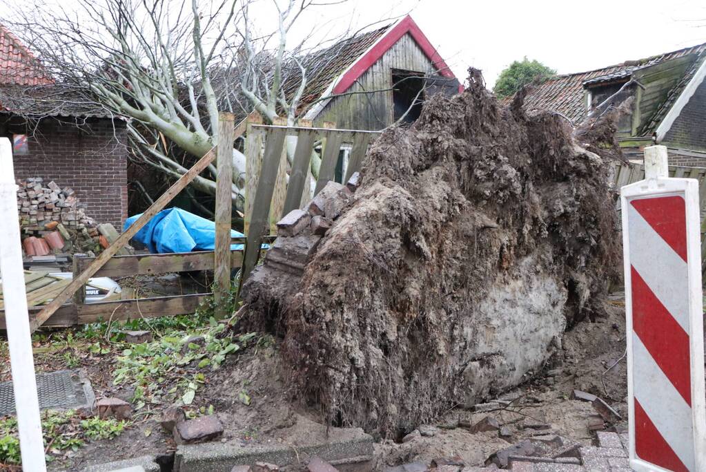 Grote boom valt op woningen en schuur