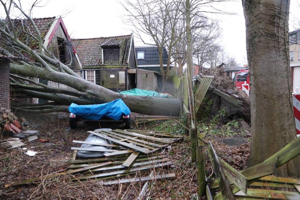 Grote boom valt op woningen en schuur